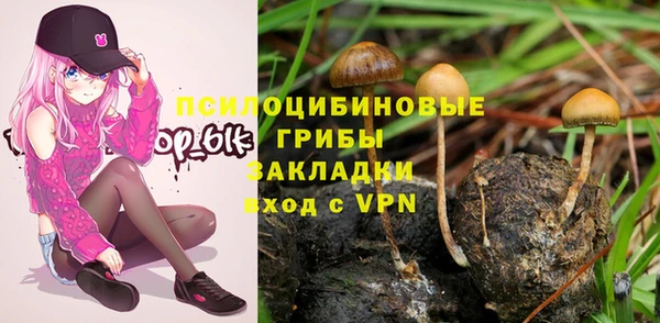 бутират Горнозаводск