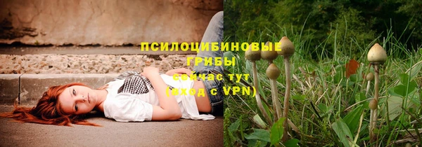MDMA Вяземский