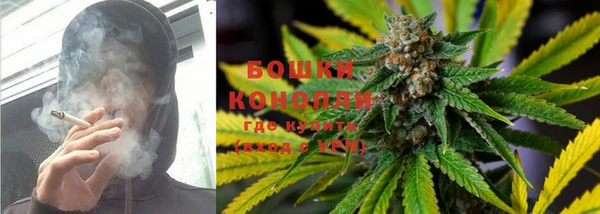 дживик Горняк