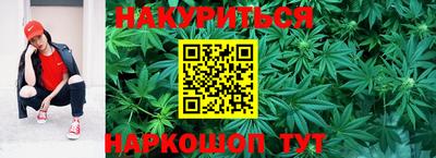 бошки Бийск