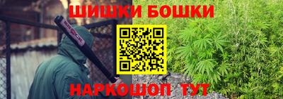 бошки Бийск