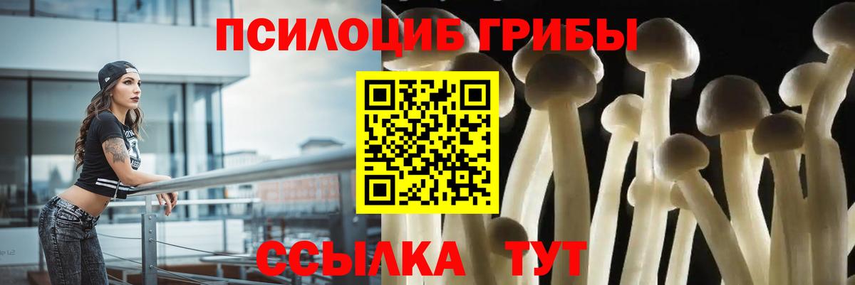 Галлюциногенные грибы GOLDEN TEACHER Баксан